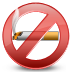 Regular No Smoking Icon 72x72 png